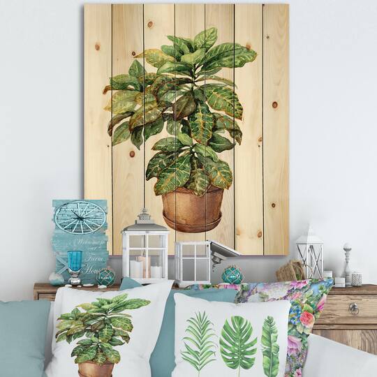 Designart - Croton In Clay Flowerpot